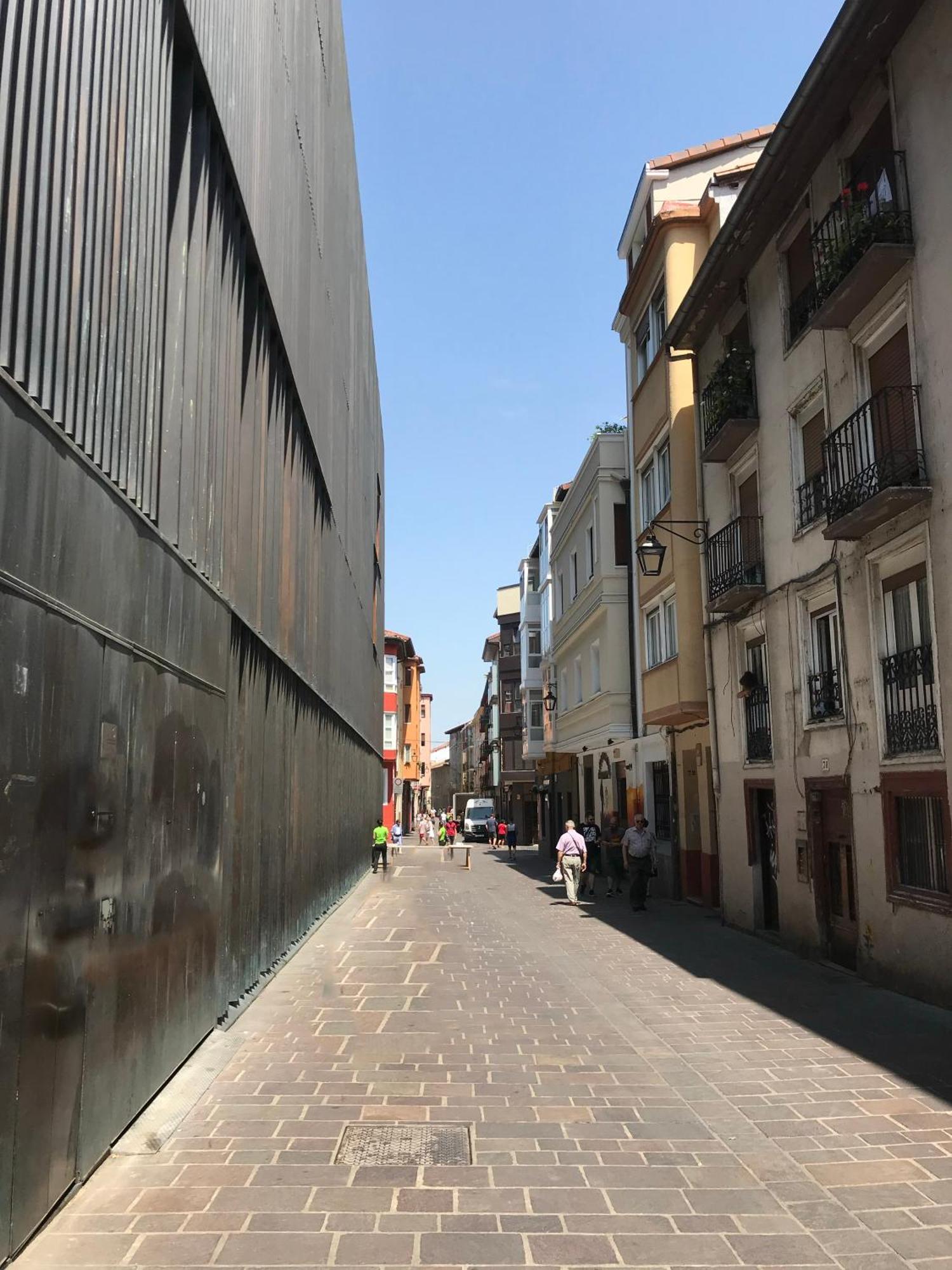 Luxury Pintoreria Atico Vitoria-Gasteiz Bagian luar foto